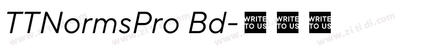 TTNormsPro Bd字体转换